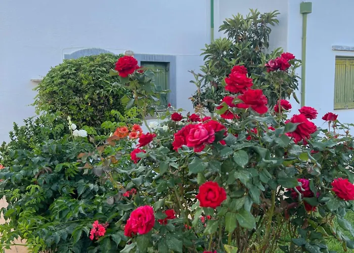 Island Away Chersonisos