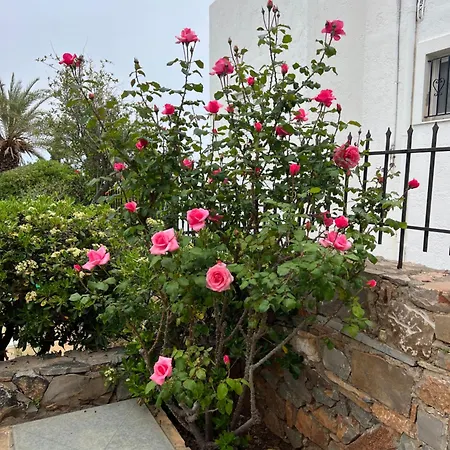 Island Away Chersonisos 아파트 헐소니소스
