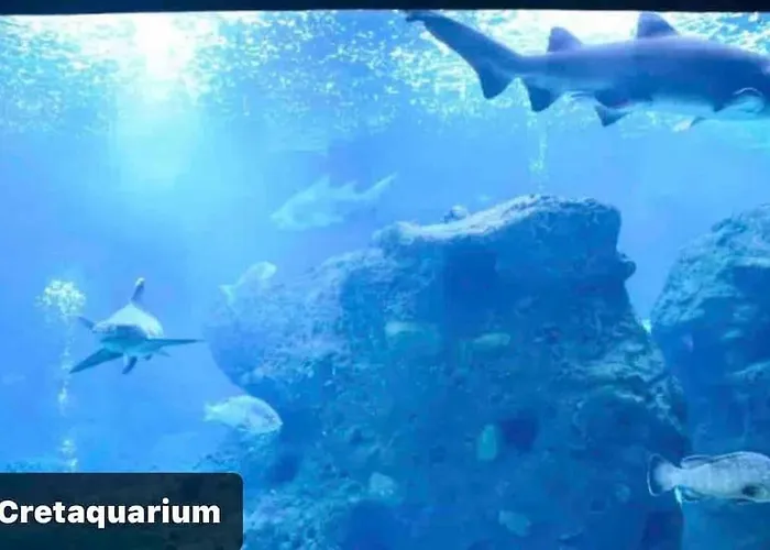 Island Away Chersonisos Herszonisszosz