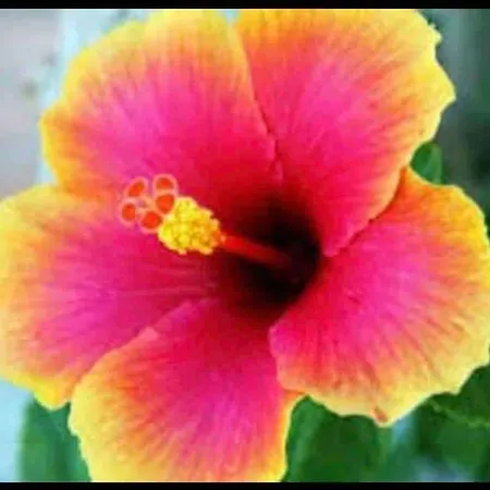 Appartement Island Away Chersonisos Hersónissos