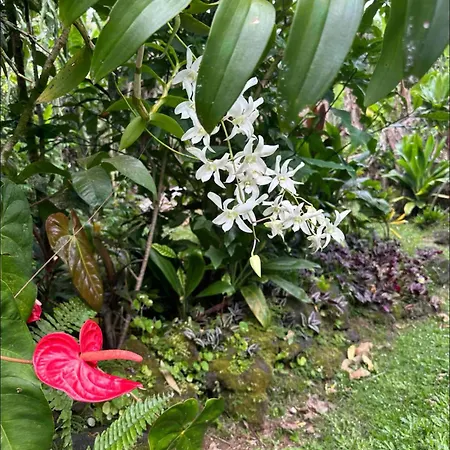 Island Away Chersonisos Hersonissos (Crete)