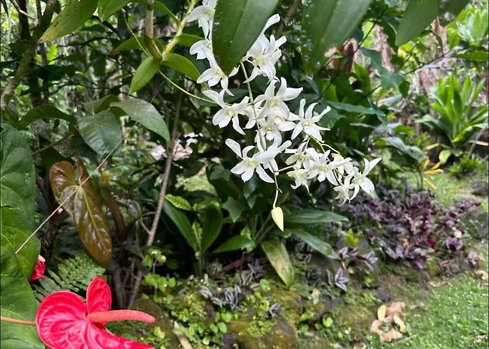 Island Away Chersonisos Hersonissos (Crete)